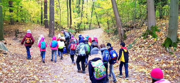 wald