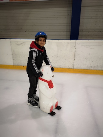 eisbaer
