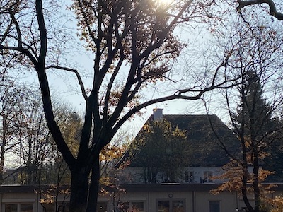 martin sonne
