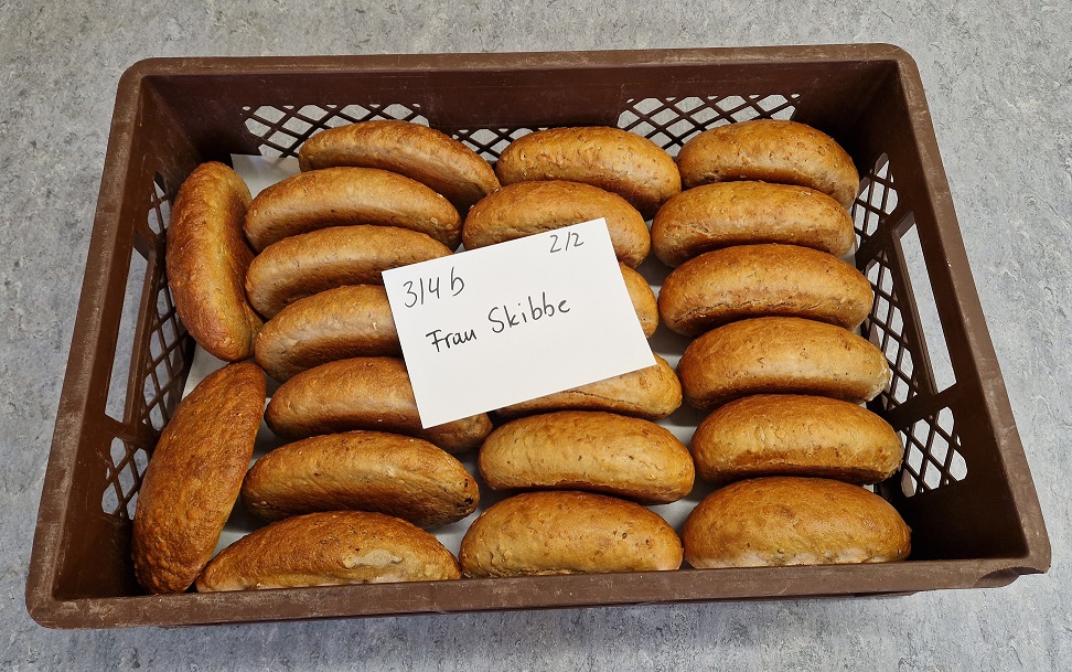 solibrot 1